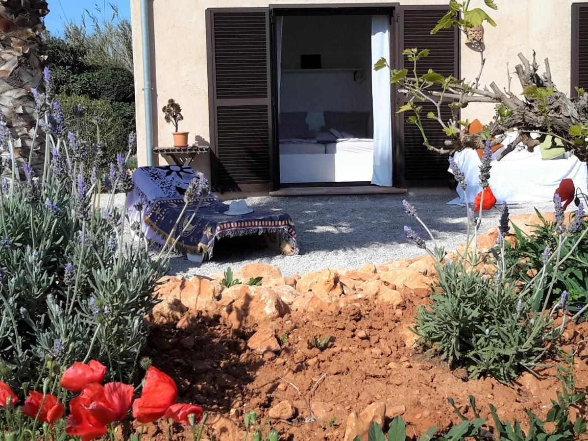Finca Alqueria Fosca 坎波斯 外观 照片