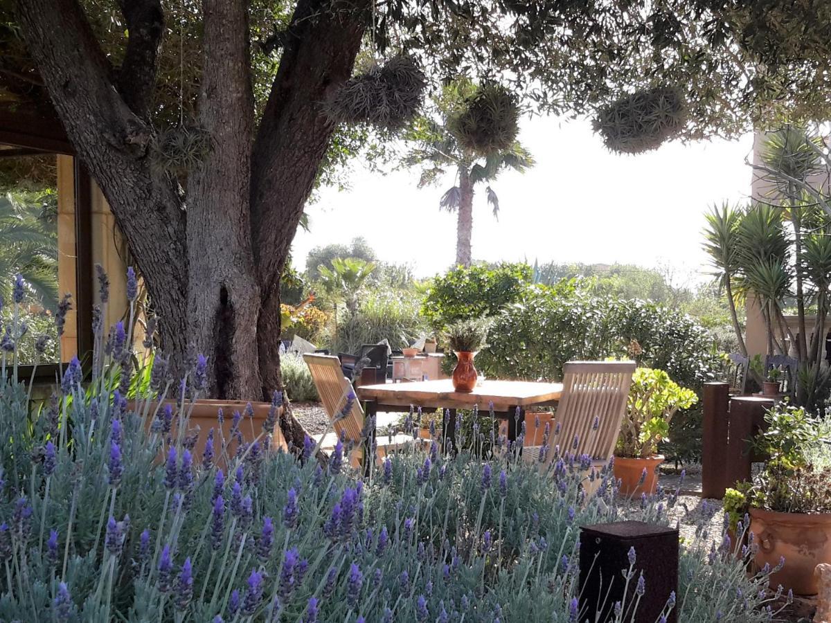 Finca Alqueria Fosca 坎波斯 外观 照片