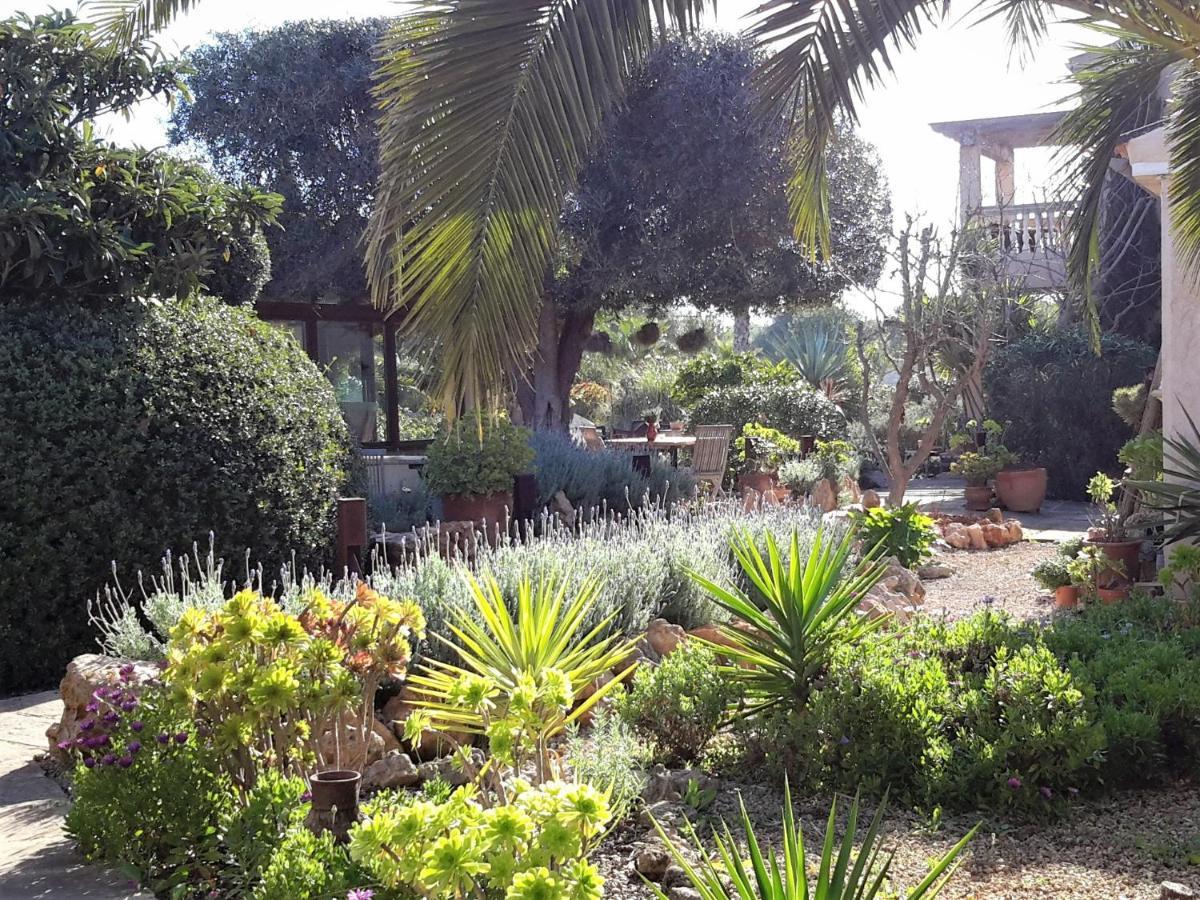 Finca Alqueria Fosca 坎波斯 外观 照片
