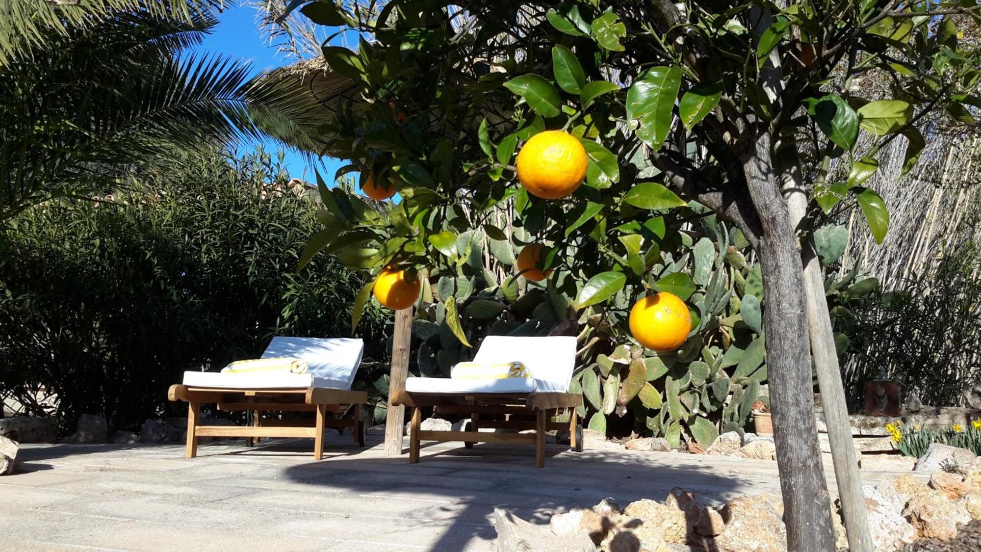 Finca Alqueria Fosca 坎波斯 外观 照片