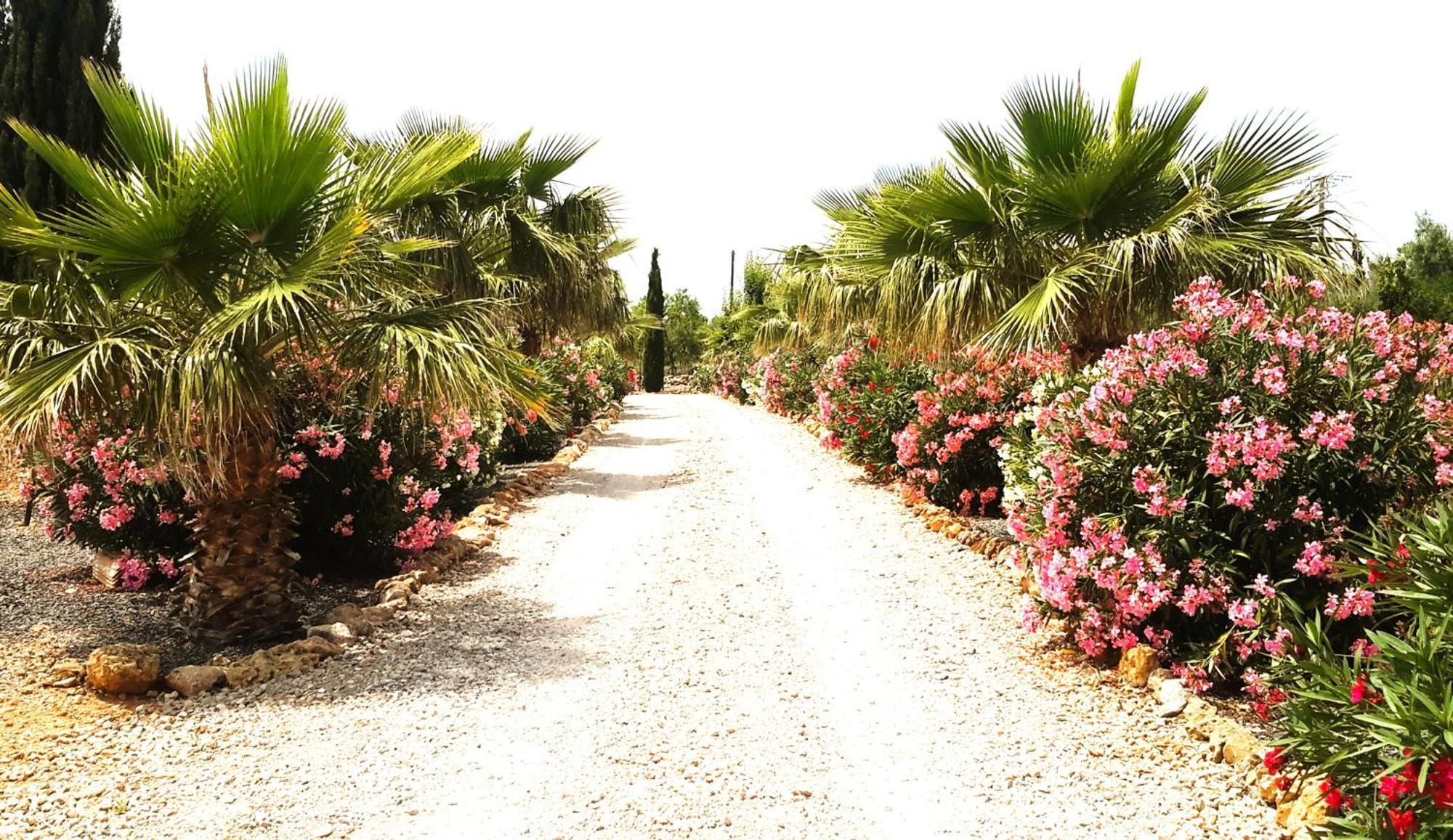 Finca Alqueria Fosca 坎波斯 外观 照片