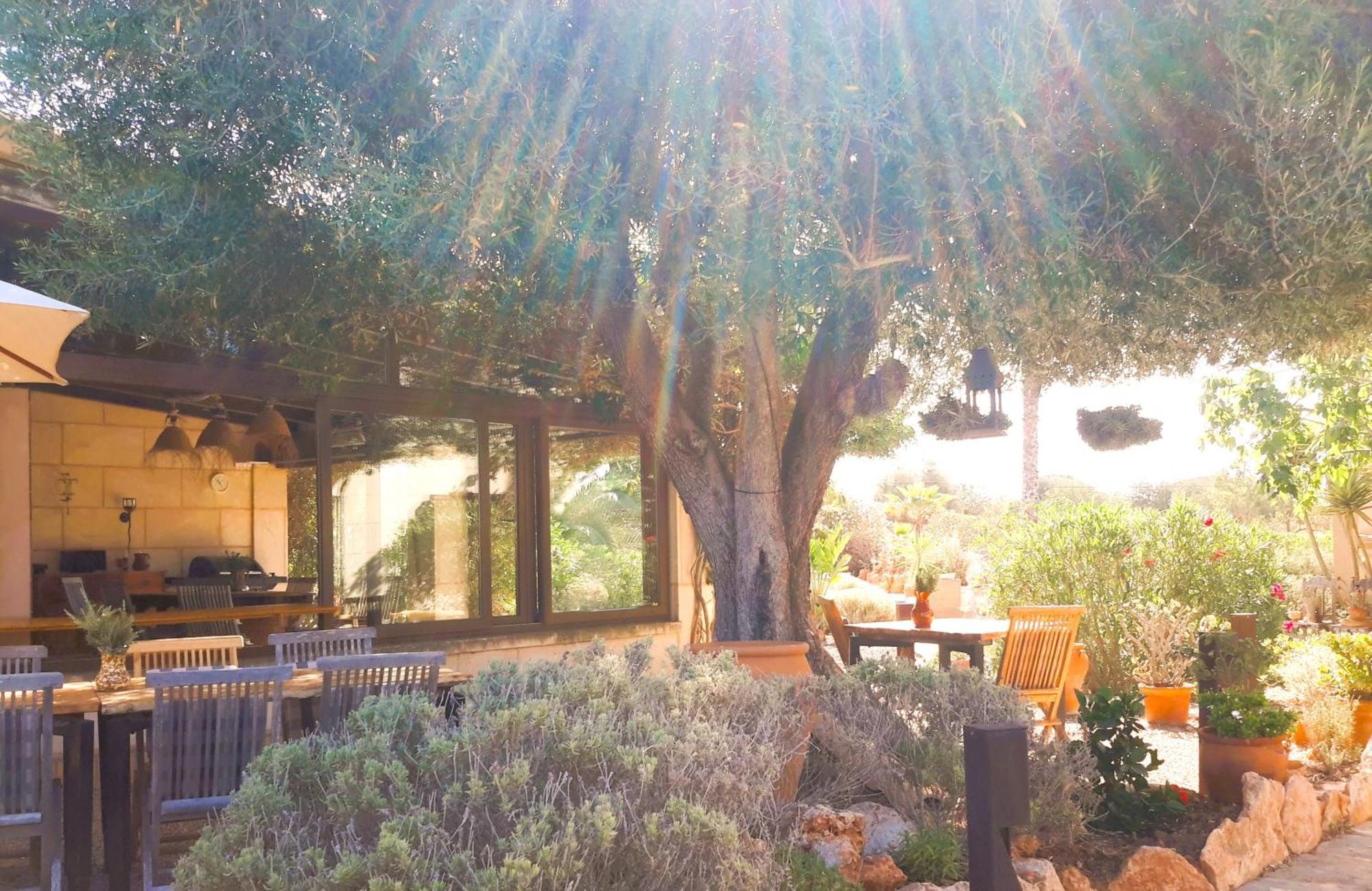 Finca Alqueria Fosca 坎波斯 外观 照片