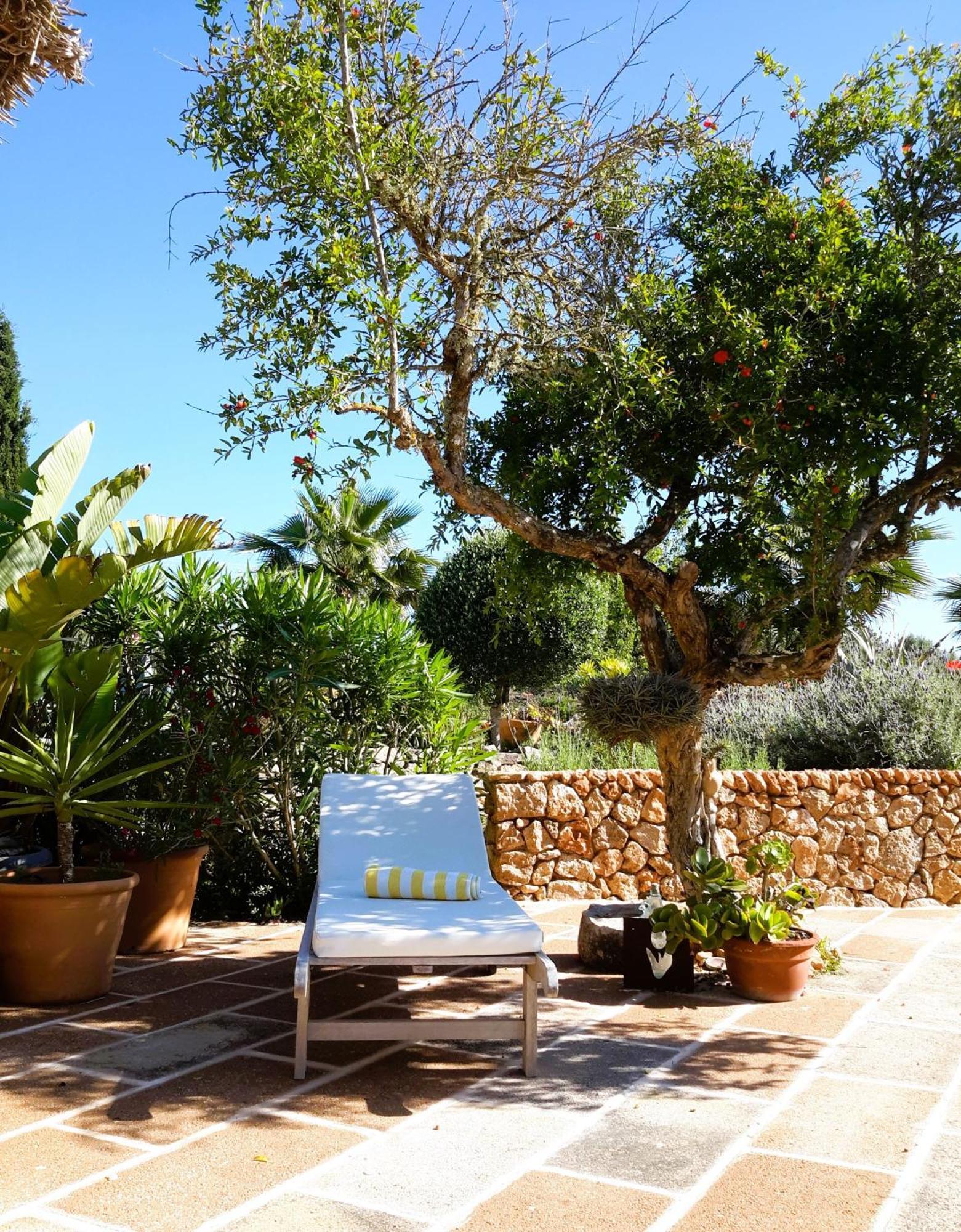 Finca Alqueria Fosca 坎波斯 外观 照片